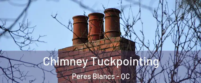  Chimney Tuckpointing Peres Blancs - QC