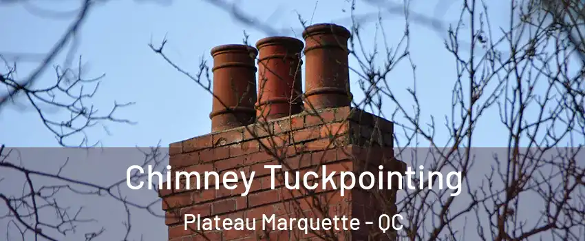  Chimney Tuckpointing Plateau Marquette - QC