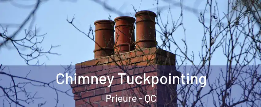  Chimney Tuckpointing Prieure - QC
