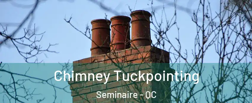  Chimney Tuckpointing Seminaire - QC