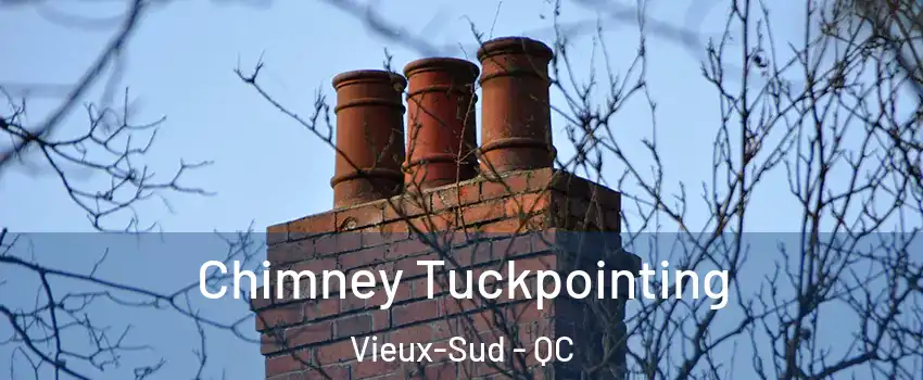  Chimney Tuckpointing Vieux-Sud - QC