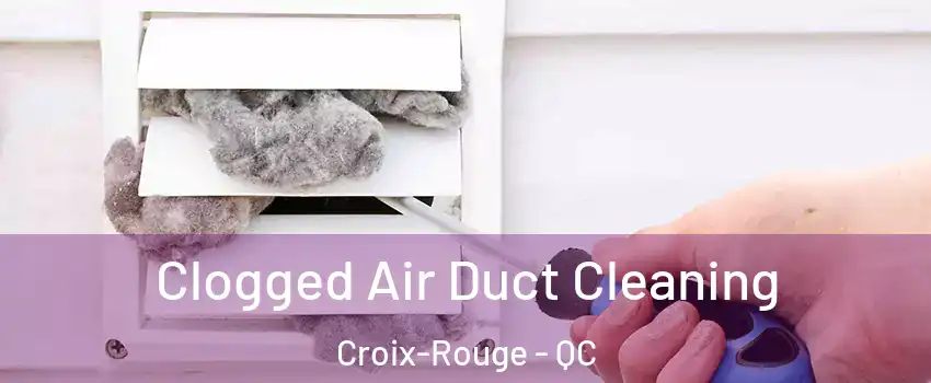  Clogged Air Duct Cleaning Croix-Rouge - QC