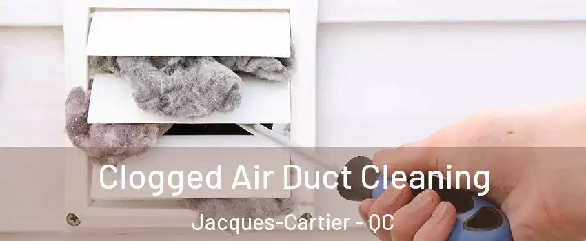  Clogged Air Duct Cleaning Jacques-Cartier - QC