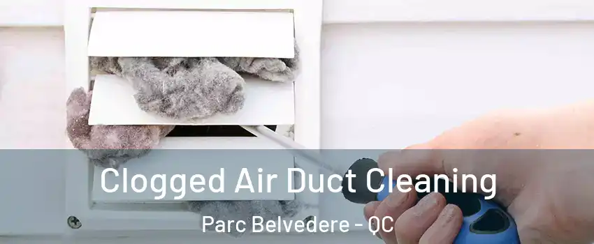  Clogged Air Duct Cleaning Parc Belvedere - QC