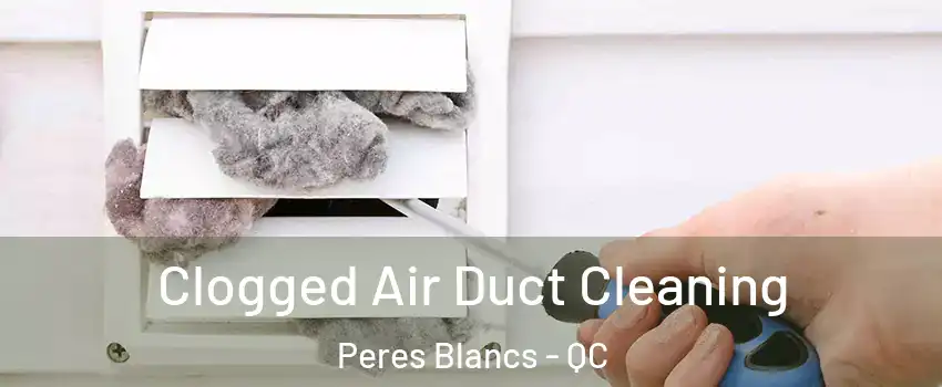  Clogged Air Duct Cleaning Peres Blancs - QC