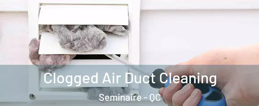  Clogged Air Duct Cleaning Seminaire - QC