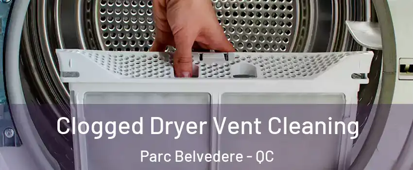  Clogged Dryer Vent Cleaning Parc Belvedere - QC