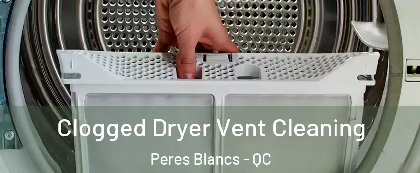  Clogged Dryer Vent Cleaning Peres Blancs - QC