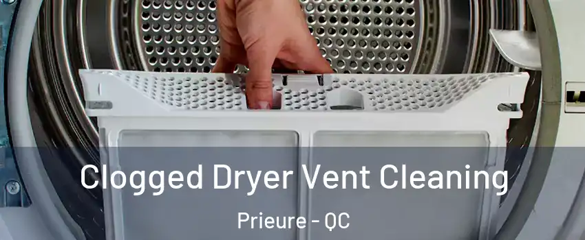  Clogged Dryer Vent Cleaning Prieure - QC