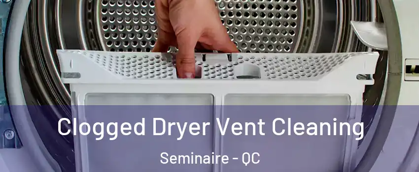  Clogged Dryer Vent Cleaning Seminaire - QC
