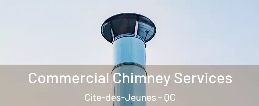  Commercial Chimney Services Cite-des-Jeunes - QC