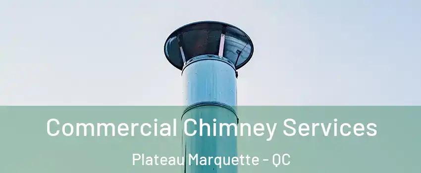  Commercial Chimney Services Plateau Marquette - QC