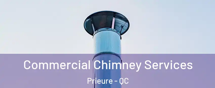  Commercial Chimney Services Prieure - QC