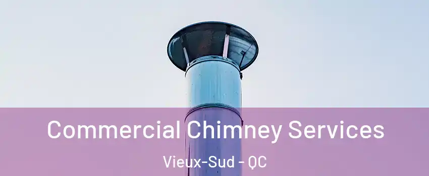  Commercial Chimney Services Vieux-Sud - QC