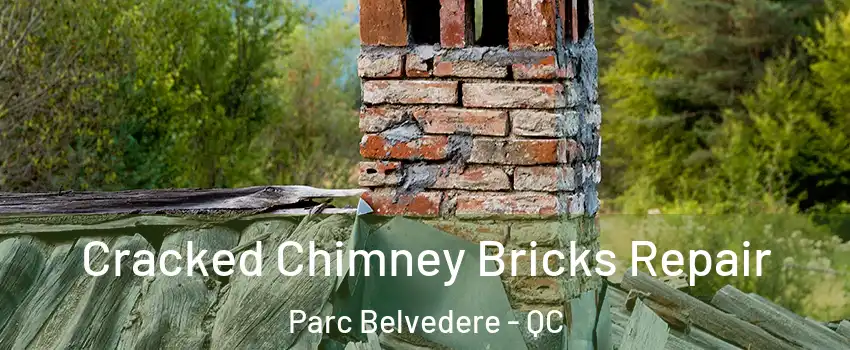  Cracked Chimney Bricks Repair Parc Belvedere - QC