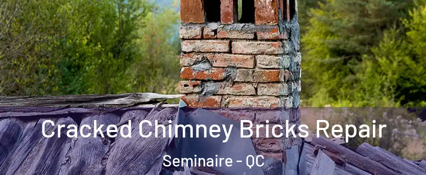  Cracked Chimney Bricks Repair Seminaire - QC