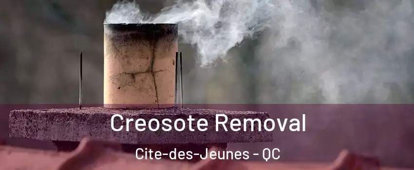  Creosote Removal Cite-des-Jeunes - QC