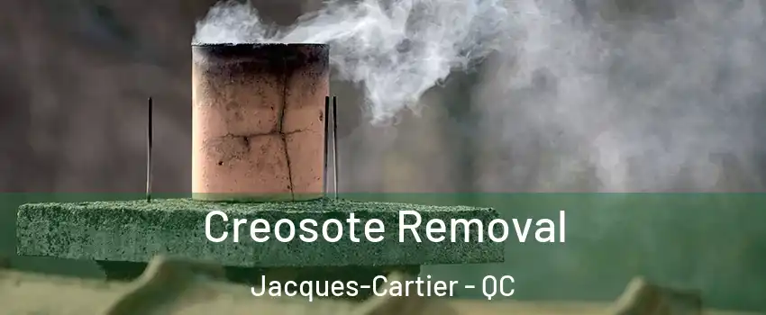  Creosote Removal Jacques-Cartier - QC
