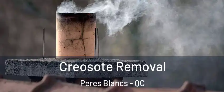  Creosote Removal Peres Blancs - QC