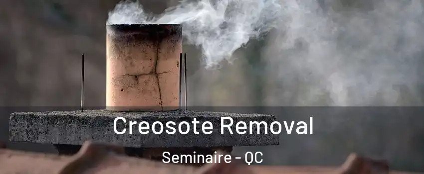  Creosote Removal Seminaire - QC