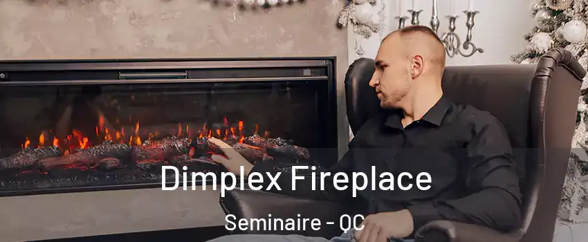  Dimplex Fireplace Seminaire - QC