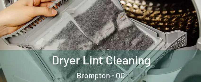  Dryer Lint Cleaning Brompton - QC