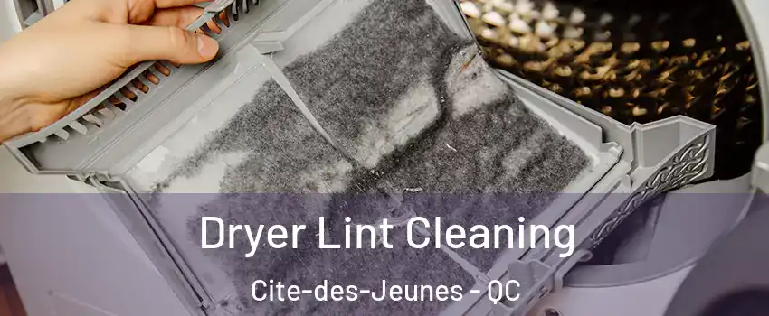 Dryer Lint Cleaning Cite-des-Jeunes - QC
