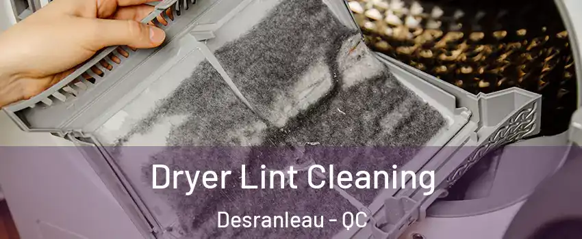  Dryer Lint Cleaning Desranleau - QC