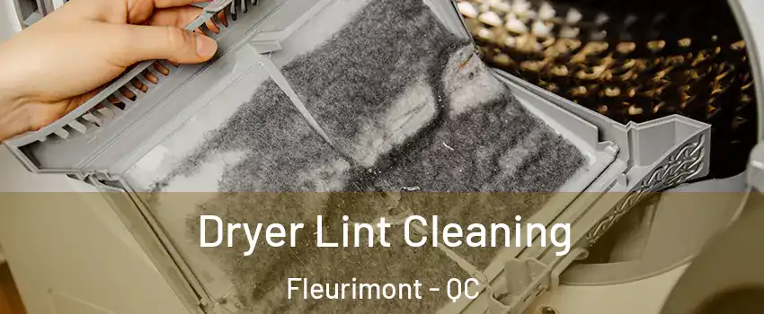  Dryer Lint Cleaning Fleurimont - QC
