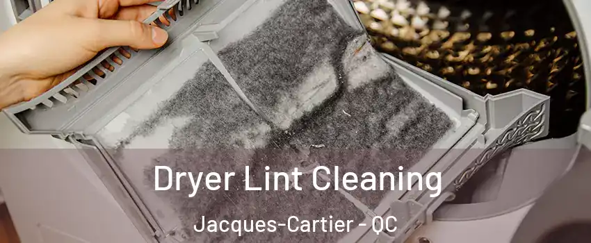  Dryer Lint Cleaning Jacques-Cartier - QC
