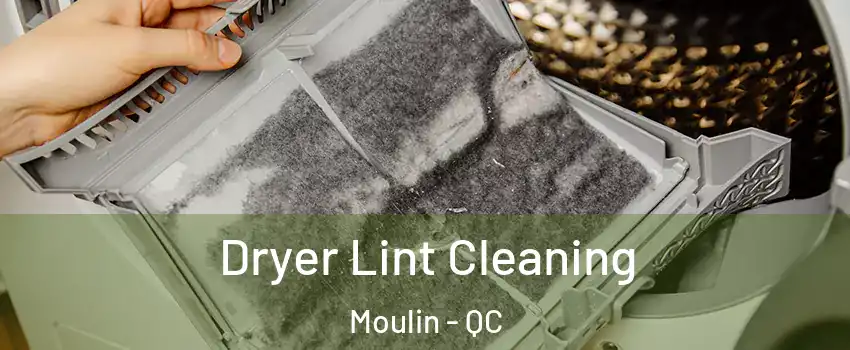  Dryer Lint Cleaning Moulin - QC