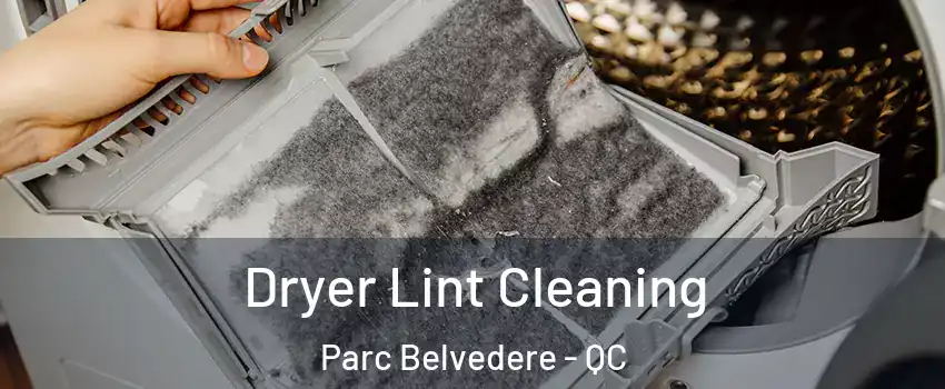  Dryer Lint Cleaning Parc Belvedere - QC