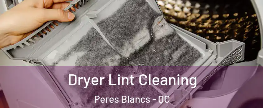  Dryer Lint Cleaning Peres Blancs - QC