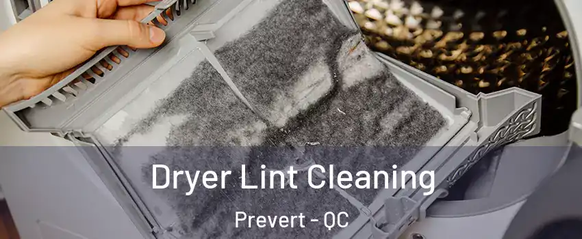  Dryer Lint Cleaning Prevert - QC