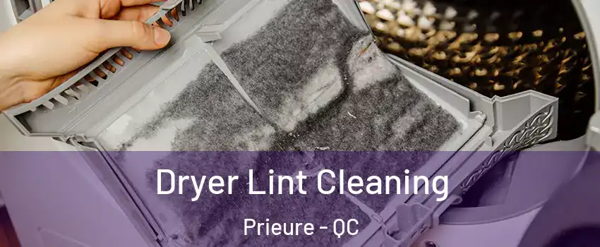  Dryer Lint Cleaning Prieure - QC