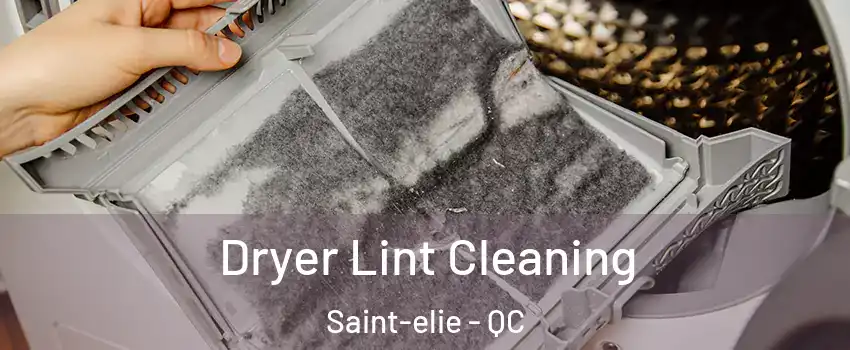  Dryer Lint Cleaning Saint-elie - QC