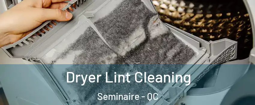  Dryer Lint Cleaning Seminaire - QC
