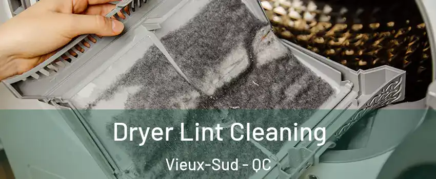  Dryer Lint Cleaning Vieux-Sud - QC