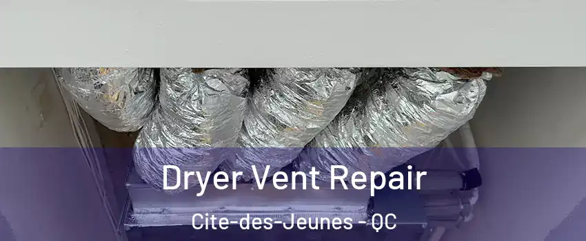  Dryer Vent Repair Cite-des-Jeunes - QC