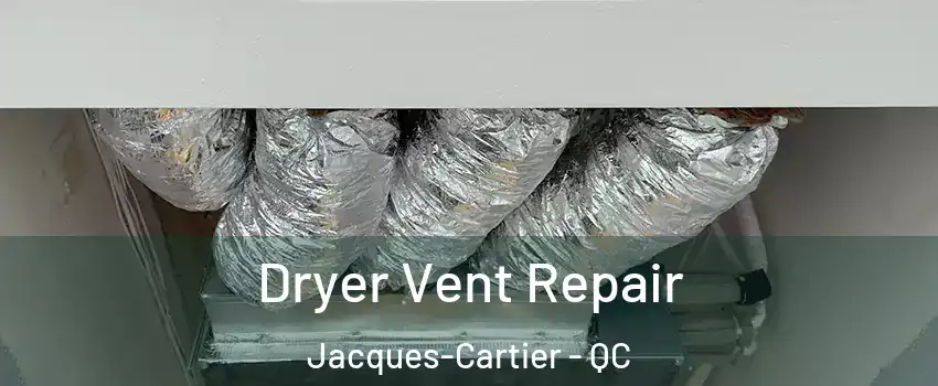  Dryer Vent Repair Jacques-Cartier - QC