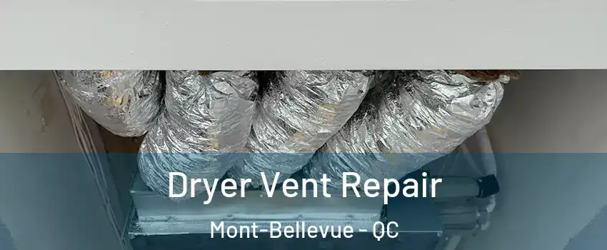  Dryer Vent Repair Mont-Bellevue - QC