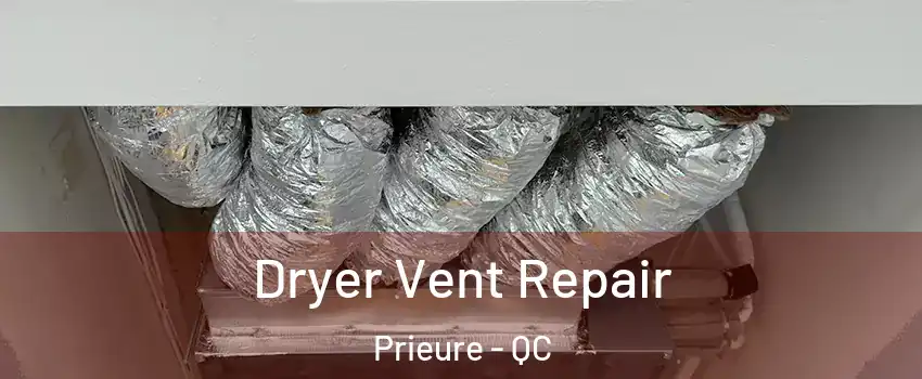  Dryer Vent Repair Prieure - QC