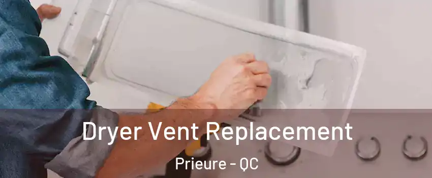  Dryer Vent Replacement Prieure - QC
