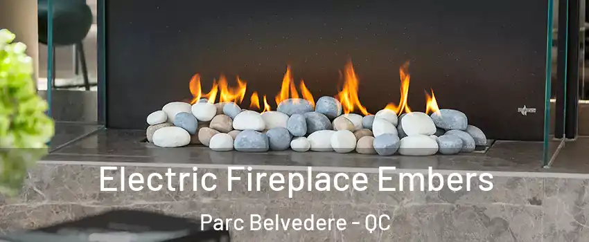  Electric Fireplace Embers Parc Belvedere - QC