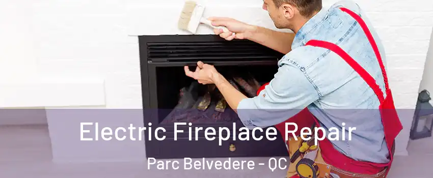  Electric Fireplace Repair Parc Belvedere - QC