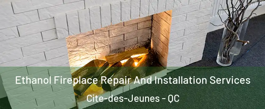  Ethanol Fireplace Repair And Installation Services Cite-des-Jeunes - QC