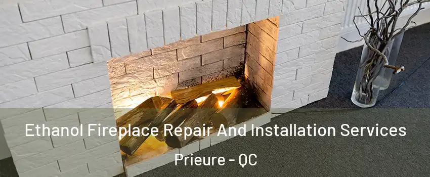  Ethanol Fireplace Repair And Installation Services Prieure - QC