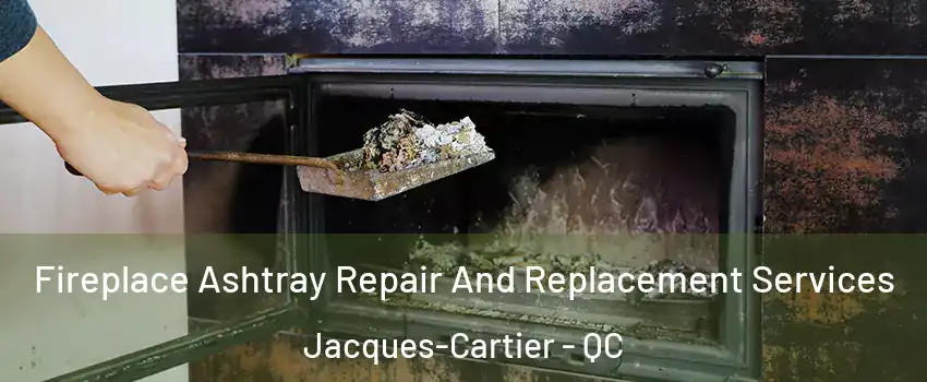  Fireplace Ashtray Repair And Replacement Services Jacques-Cartier - QC