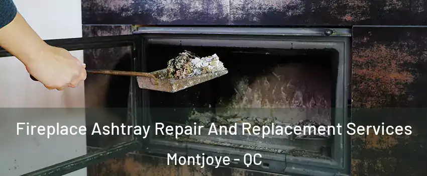 Fireplace Ashtray Repair And Replacement Services Montjoye - QC
