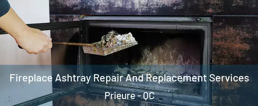  Fireplace Ashtray Repair And Replacement Services Prieure - QC